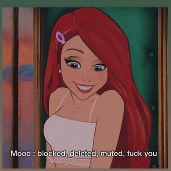 Meet your Posher, Manders - Picture 1 of 1